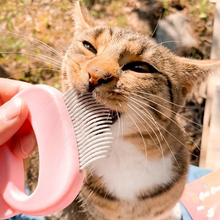 Lade das Bild in den Galerie-Viewer, Kammy - Haarentfernungskamm (50% Rabatt)